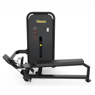 Jurulatih Lat Back Gym Pusat Kecergasan